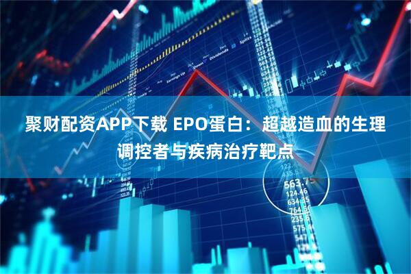 聚财配资APP下载 EPO蛋白：超越造血的生理调控者与疾病治疗靶点