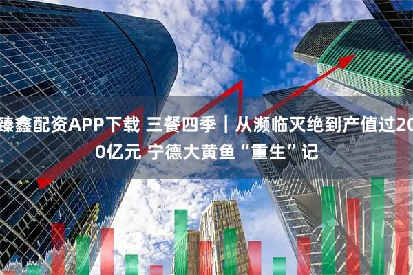臻鑫配资APP下载 三餐四季｜从濒临灭绝到产值过200亿元 宁德大黄鱼“重生”记