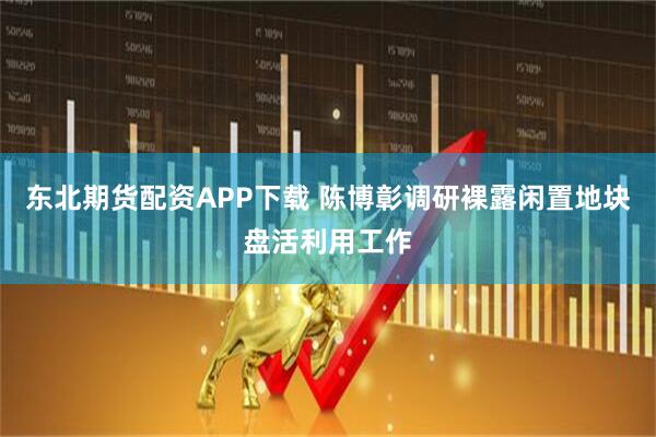 东北期货配资APP下载 陈博彰调研裸露闲置地块盘活利用工作