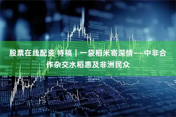 股票在线配资 特稿｜一袋稻米寄深情——中非合作杂交水稻惠及非洲民众